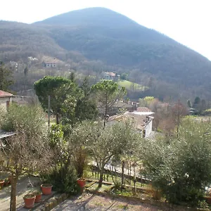 Locanda-trattoria Al Rio Cinto Euganeo
